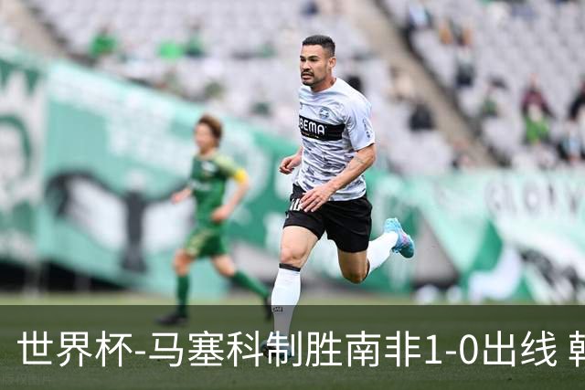 世界杯-马塞科制胜南非1-0出线 韩国积3分获小组第三待定